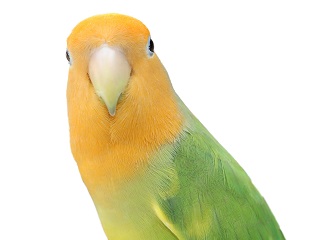 佐賀県が半年間にもわたって「赤の他人」に個人情報を送り続けていた理由