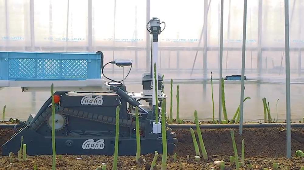 inahoが開発している自動野菜収穫ロボットの試作品。アスパラガスを手始めに、さまざまな野菜の収穫に対応していく計画だ。浜野製作所は2019年1月から、このロボットの車両部分の開発をサポートしている。（出所：inaho）