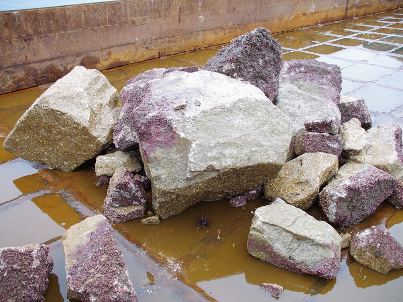 1位は「五洋建設が石材266tを海に不法投棄で書類送検、処分費抑制が狙いか」