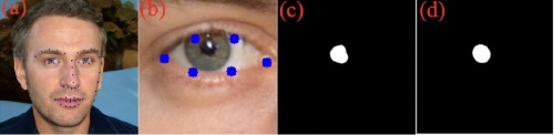 今回の研究での画像処理。（a）入力された高解像度の顔写真、（b）トリミングされた目の画像、（c）（b）から予測された目の瞳孔の形状、（d）（c）を補完した楕円形。（c）と（d）が近ければ実在する人物と判定する。この顔写真は架空の人物