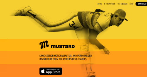 野球専用の分析サービス「Mustard」のWebページ