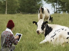 Iotでケッコー快適 鶏舎を変える 畜産テック 日経クロステック Xtech