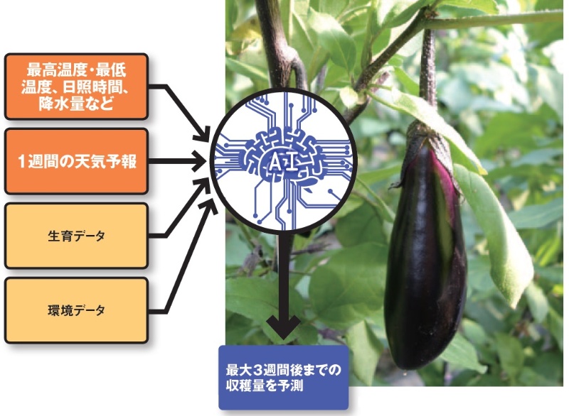 スマホの電波から発電量予測 ソフトバンク系の ウェザーテック 始動 日経クロステック Xtech