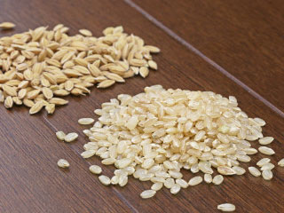 新型コロナウイルスを機会に考える「中国の品質は本当に悪いのか」