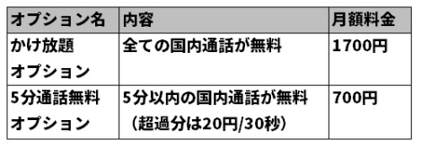 任意で加入できる通話定額オプション
