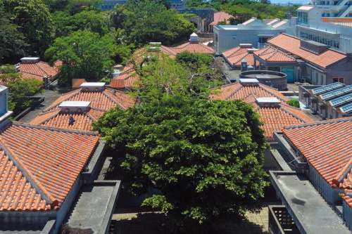 (写真:アトリエ・ファイ建築研究所)