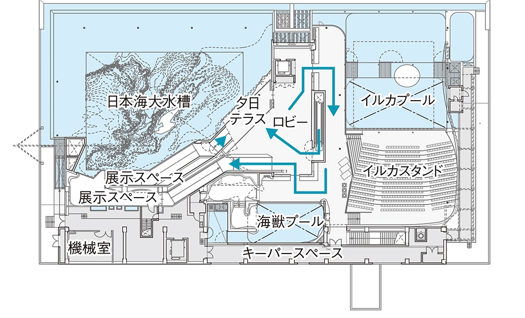 日本海 を模した上越の水族館 日本設計がコンピュテーショナルデザインで再現 日経クロステック Xtech