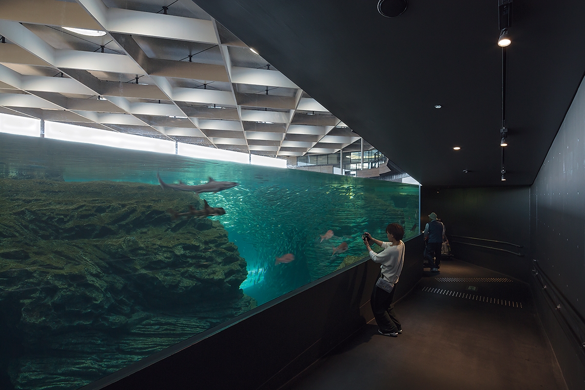 擬岩業界」の匠の技と3D設計、海底地形を再現した水族館のつくり方