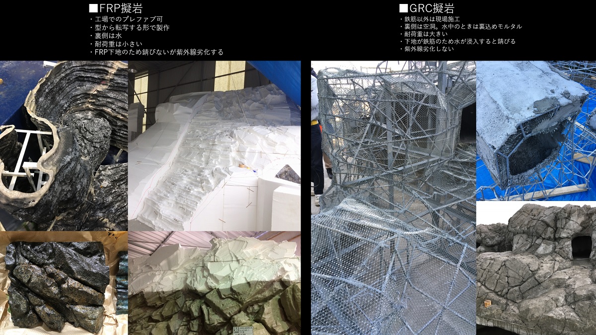 マゼランペンギン飼育数世界一、人工繁殖の「愛の巣」つくった3D