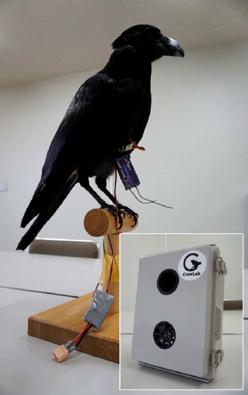 動物と心通わす日が来る ドラえもん 動物語ヘッドホン の達成法を考えた 日経クロステック Xtech 動物と心通わす日が来る ドラえもん 動物語ヘッドホン の達成法を考えた 日経クロステック Xtech