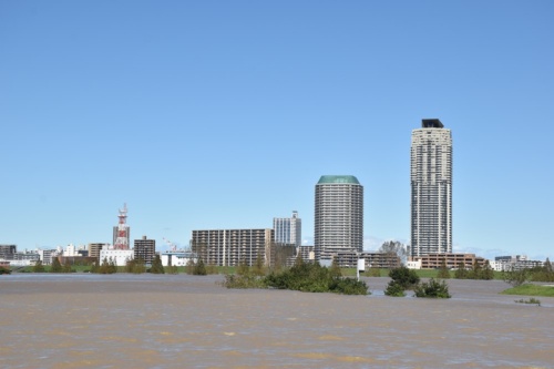 台風19号が首都圏を通過した翌日の10月13日に撮影した荒川の様子（写真：日経アーキテクチュア）