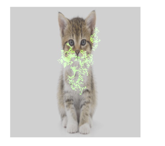 画像から「猫」を検出する機械学習モデルについて、画像内のどのピクセルが検出に大きく寄与したかを緑色で示した