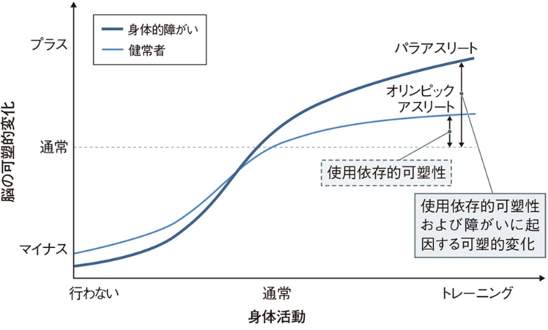 パラリンピアンの驚異の脳 障害と訓練で回路が超再編 日経クロステック Xtech
