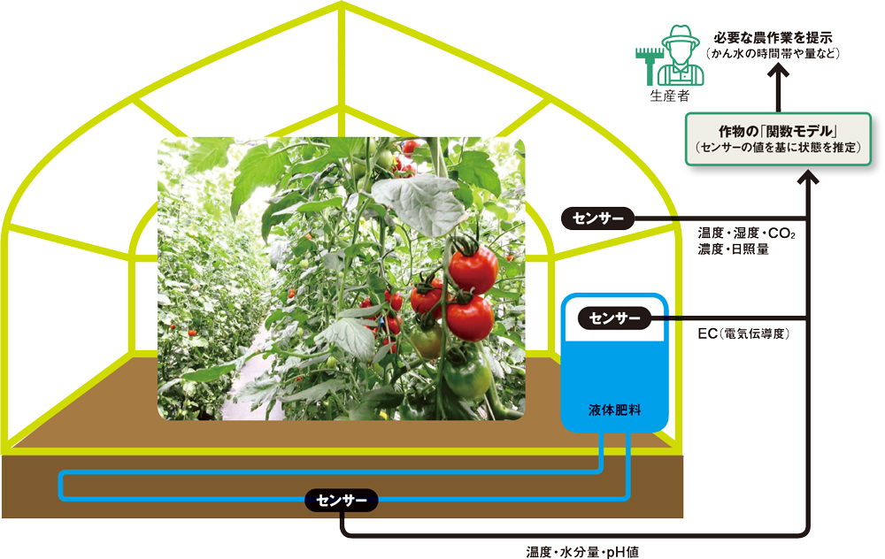 トマトの収穫量が5割増、アグリテックベンチャーが開発したIoTシステム