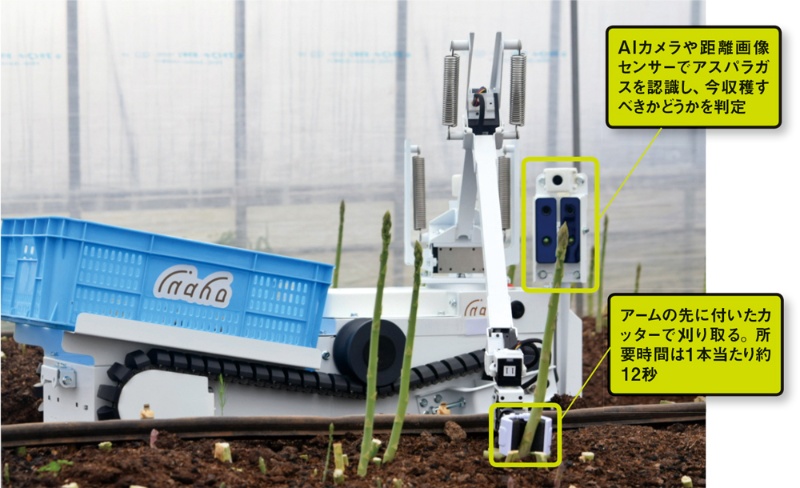旬 のアスパラを選んで刈り取る アグリテックロボットの巧みな仕組み 日経クロステック Xtech 旬 のアスパラを選んで刈り取る アグリテックロボットの巧みな仕組み 日経クロステック Xtech