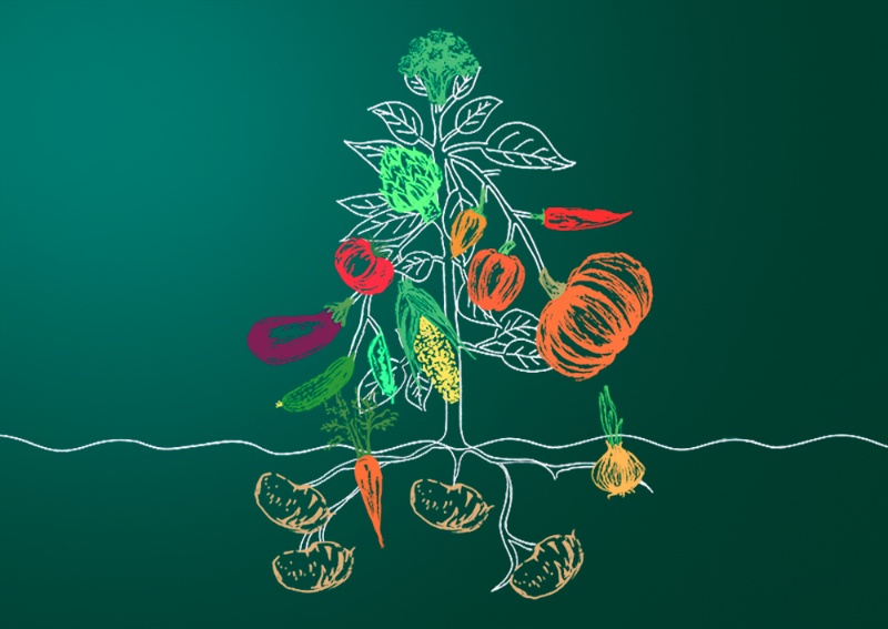 百花繚乱アグリテック 日経クロステック Xtech 百花繚乱アグリテック 日経クロステック Xtech