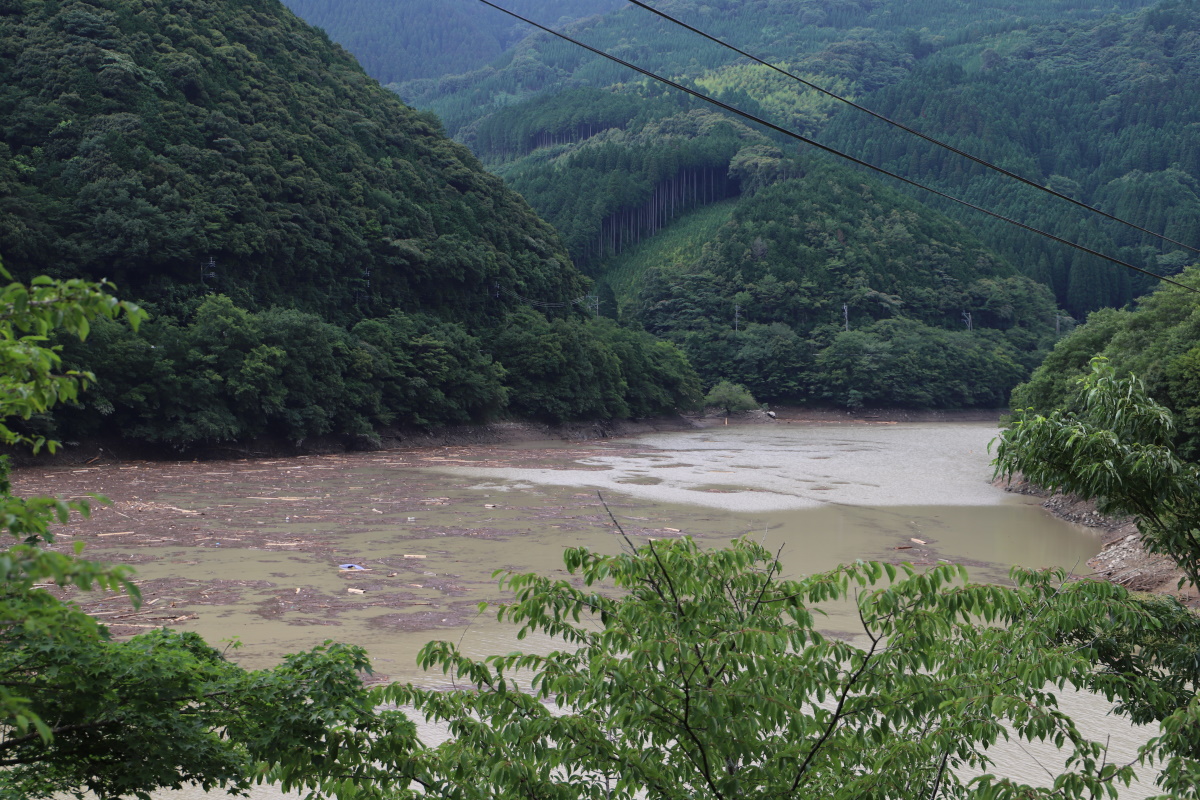 市房ダムから1.5kmほど上流の左岸側。国道388号沿い。7月8日撮影（写真：水源地環境センター）
