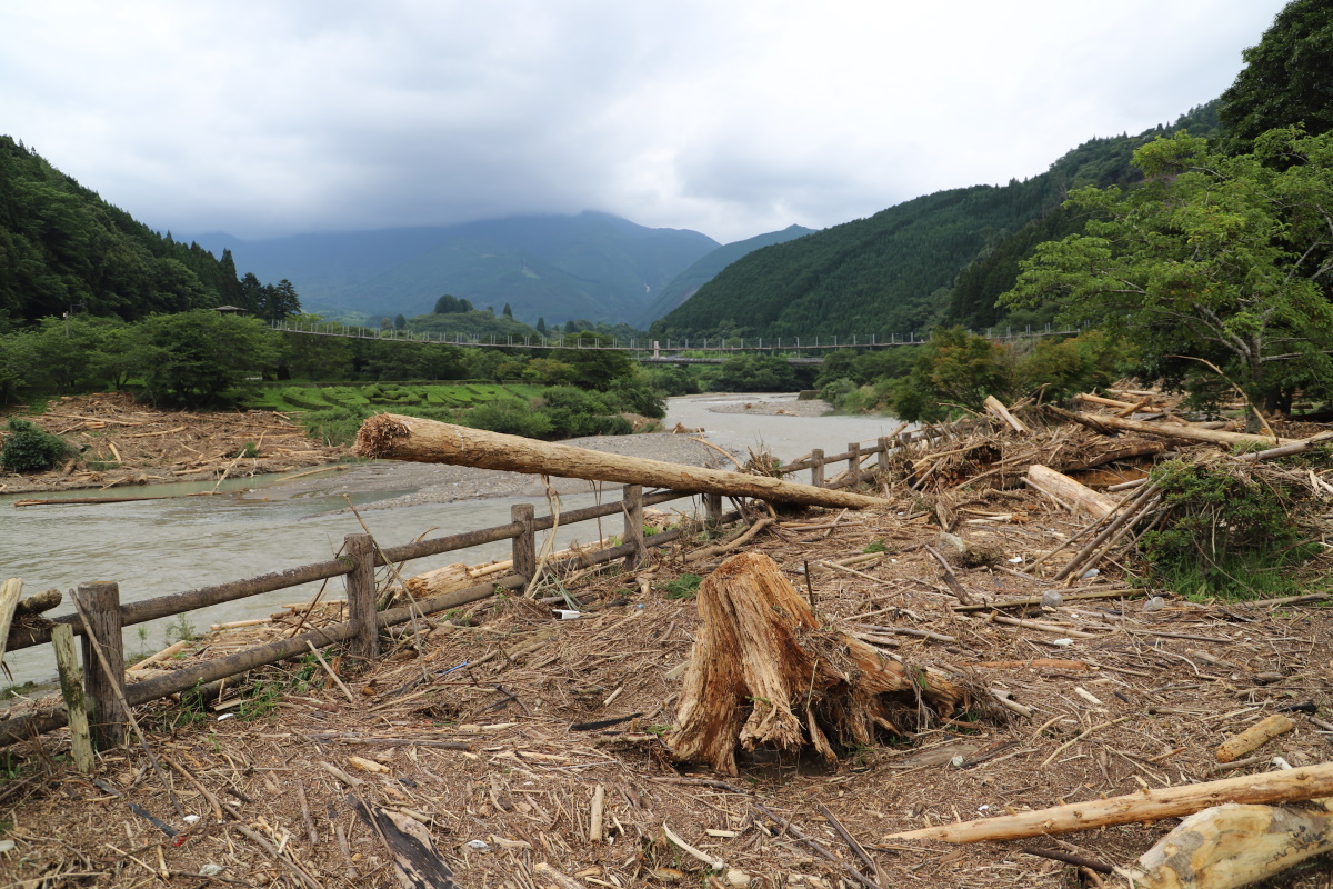 市房ダムに流入する左支川湯山川沿いにある汗の原親水公園の様子。この公園の駐車場内にも流木が堆積し、駐車の際には流木の破片を踏んでパンクしないよう運転した。7月8日撮影（写真：水源地環境センター）