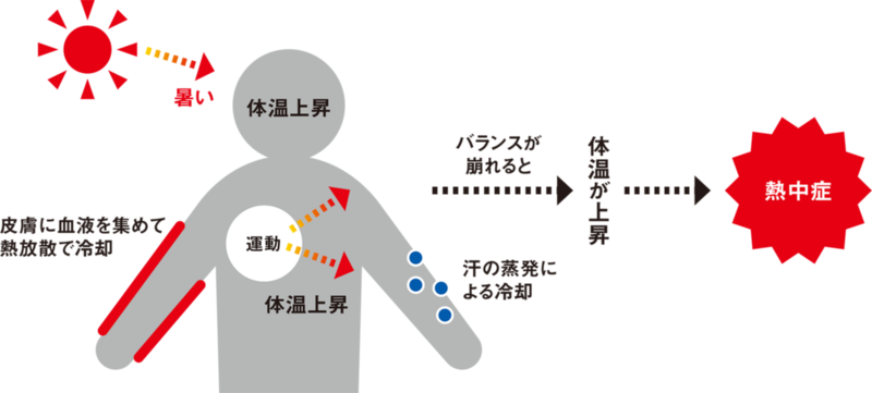 実は複雑な熱中症のメカニズム 日経クロステック Xtech 実は複雑な熱中症のメカニズム 日経クロステック Xtech