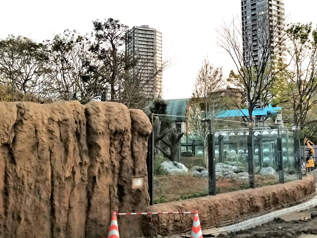 2020年4月、上野動物園を縦断する台東区道「動物園通り」から見えた施工中の新パンダ舎には、高さ2.5mのガラスが。茶色の擬岩は荒々しい感じに仕上げてある（写真：中川 美帆）
