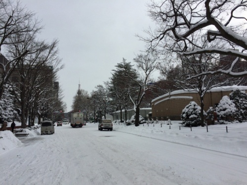 大会後のスタート地点の様子。道路に設置された雪を押し固めてつくったコースは大会後に撤去され、日常の風景が戻っていた(写真:山嵜 一也)