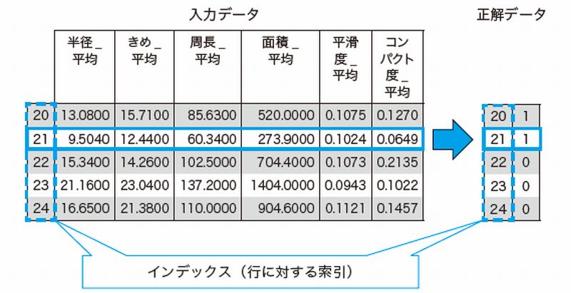 入力データ（df）と正解データ（y）の関係