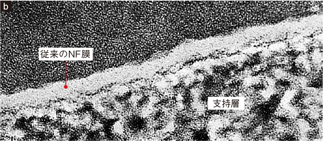 図1　NF膜の表面