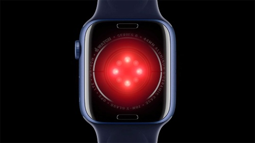 血中酸素飽和度を測定可能なApple Watch Series 6は、裏側(腕に当たる部分)に搭載されているセンサーがこれまでとは大きく変わった