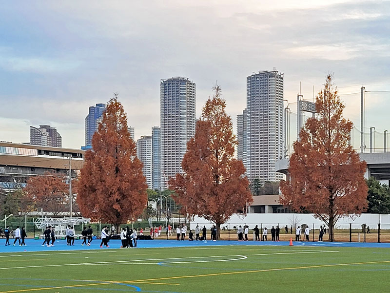 歓迎されない「6条提案」、民間が欲しいのはインセンティブ