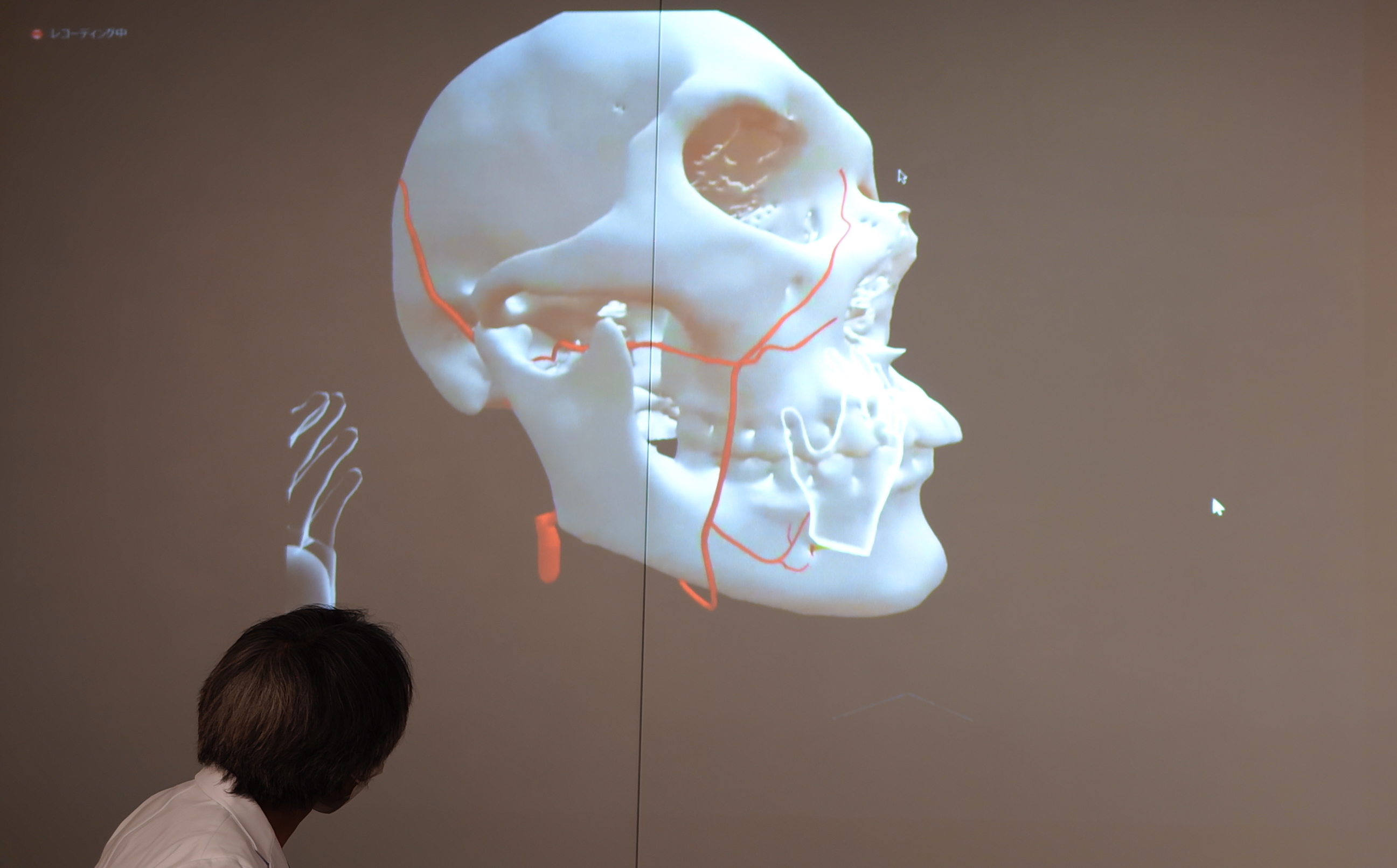 図2　仮想空間上で、頭蓋骨などの3Dモデルを参照しながら指導する。自由に移動可能な6DoF(Degree of Freedom)であるため、3Dモデルをさまざまな角度から観察できる（撮影：日経クロステック）