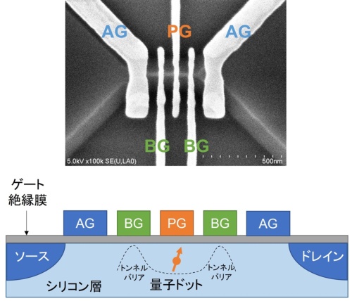 図1 産総研が試作したシリコン量子ビットの基本構造
