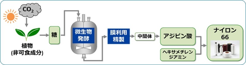 東レがポリアミドの原料をバイオ化 カギは新しい微生物の発見 日経クロステック Xtech 東レがポリアミドの原料をバイオ化 カギは新しい微生物の発見 日経クロステック Xtech