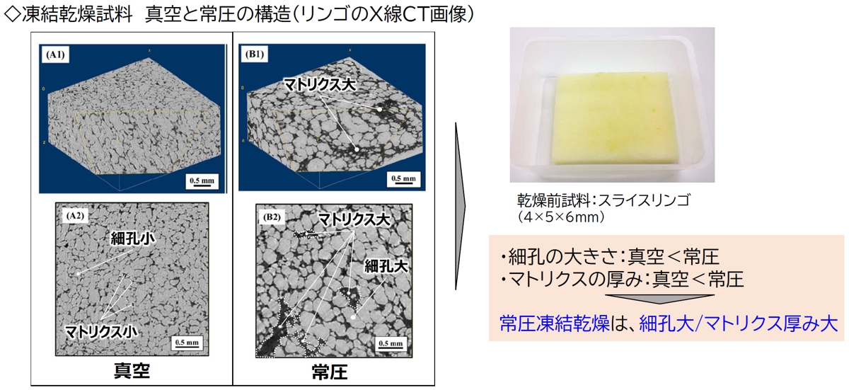 パナソニック、常圧凍結乾燥技術で香味の高い乾燥食品を試作 | 日経クロステック（xTECH）