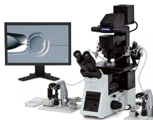 オリンパスはAI技術を搭載した顕微授精向け顕微鏡の実現を目指している