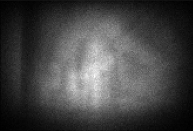ミュー粒子を用いた透視結果