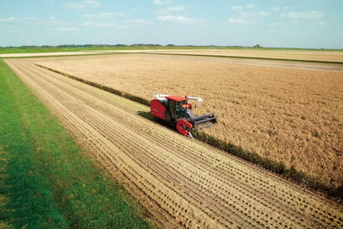 自動運転コンバインを使った収穫の様子。自動運転農機などのIT活用で、これまでより広大な農地を少人数で効率良く耕作できる