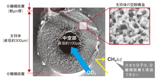 図2 CO2分離膜の断面