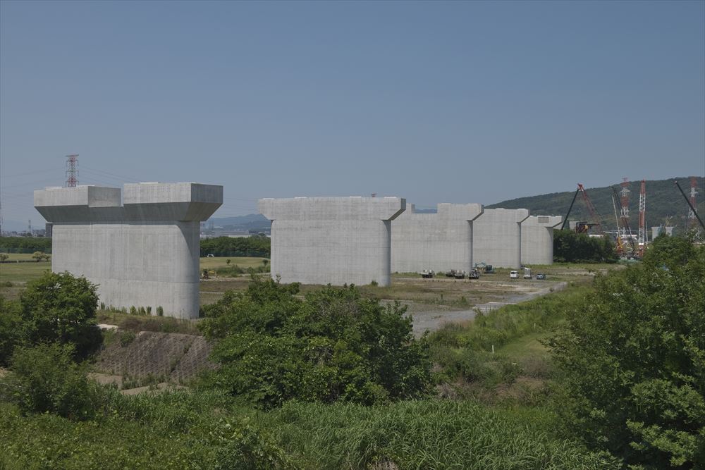 淀川の東側の土手から、河川敷に並ぶ橋脚を見る（写真：生田 将人）
