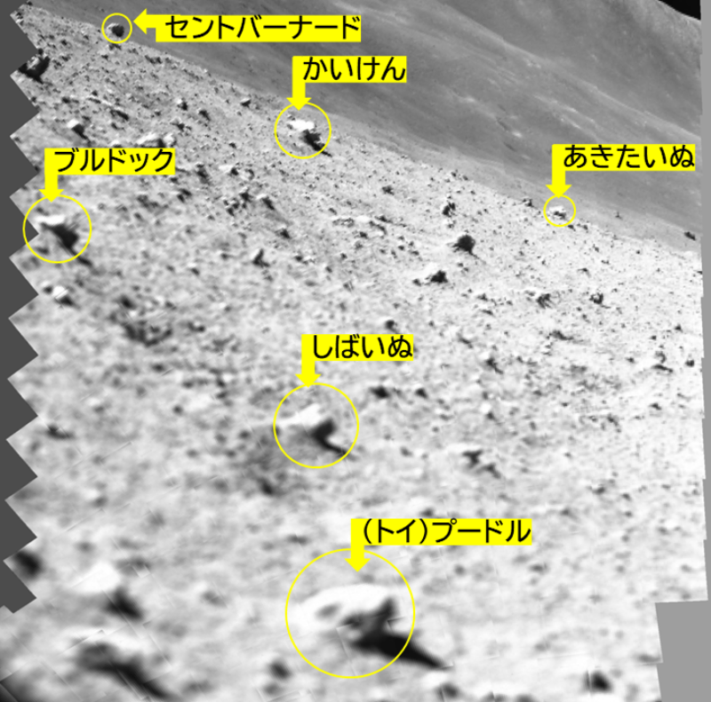 ひっくり返ったJAXAの月面探査機、原因はエンジン機能喪失 | 日経 ひっくり返ったJAXAの月面探査機、原因はエンジン機能喪失 | 日経