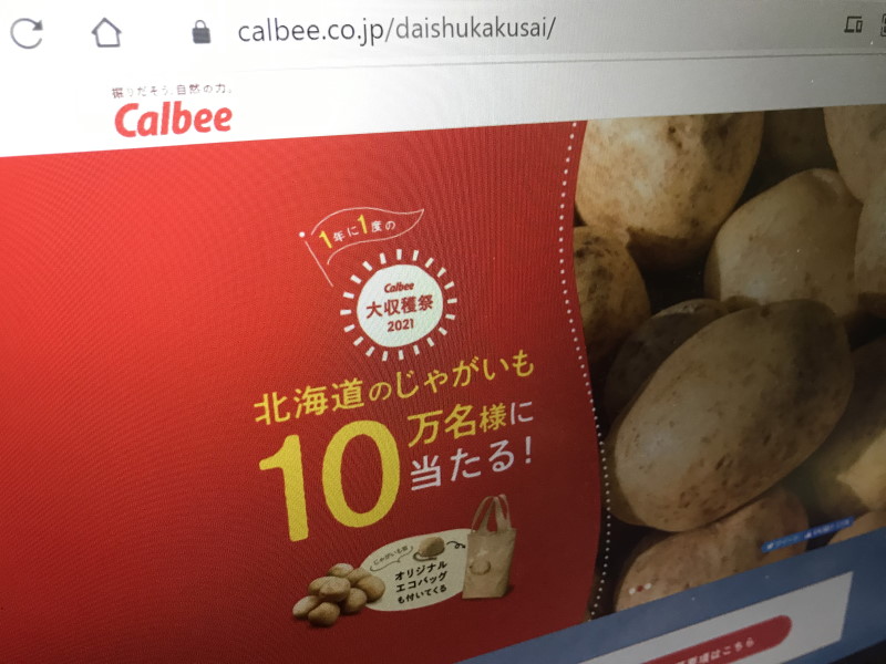クラウドファースト 日経クロステック Xtech