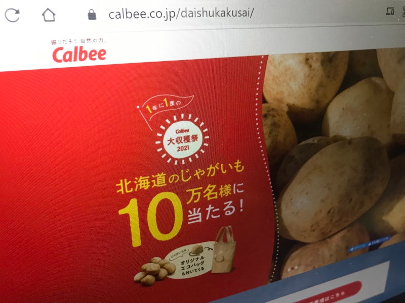 クラウドファースト 日経クロステック Xtech