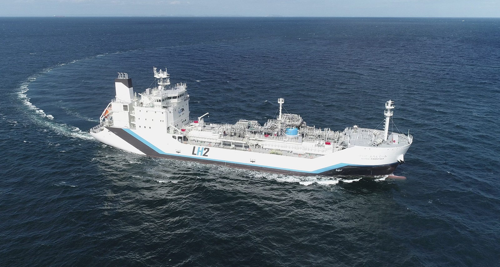 Tillandsia Kraken 速達発送 Tillandsia Kraken 速達発送