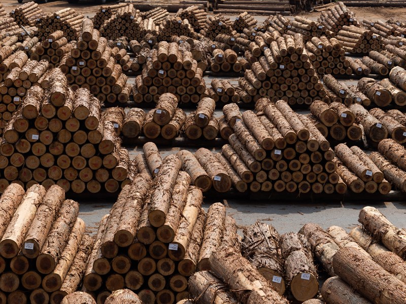 ロシア発の第2次ウッドショックか、製材止まれば毎月1.7万棟の住宅に影響