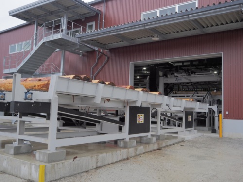 鹿児島湧水素材センターから運んだ丸太を製材棟で板材に加工する（写真：MEC Industry）