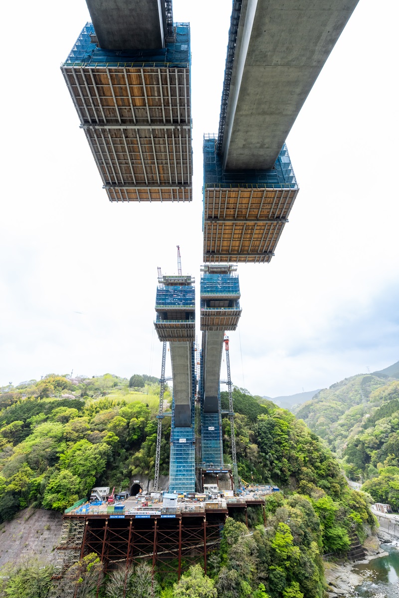 P2橋脚付近のヤードから河内川橋を見上げる（写真：大村 拓也）