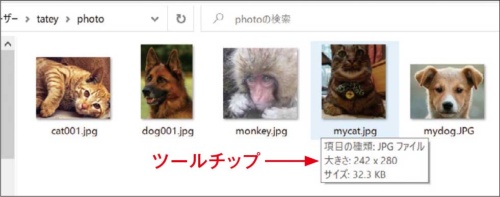 図1●「photo」フォルダー内の5枚の動物写真。画像のサイズ（大きさ）はマウスポインターを重ねるとツールチップに表示される