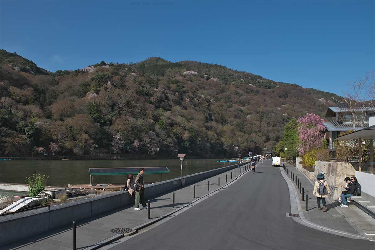 改修後。京都市が管理する歩道舗装と車止め（写真右側）は、国が整備した歩道舗装と車止め（写真左側）の意匠と合わせて市が改修した（写真：生田 将人）