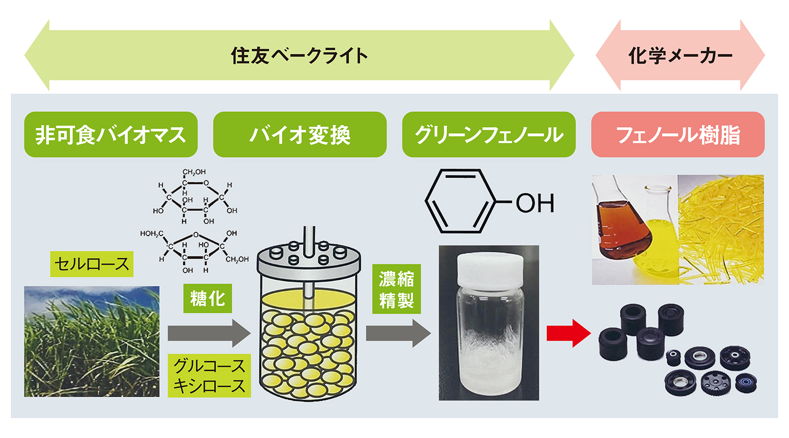 グリーンフェノールの製造プロセス