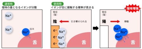 図2　ナトリウムイオンの動きを制御して塩味を増強させる仕組み