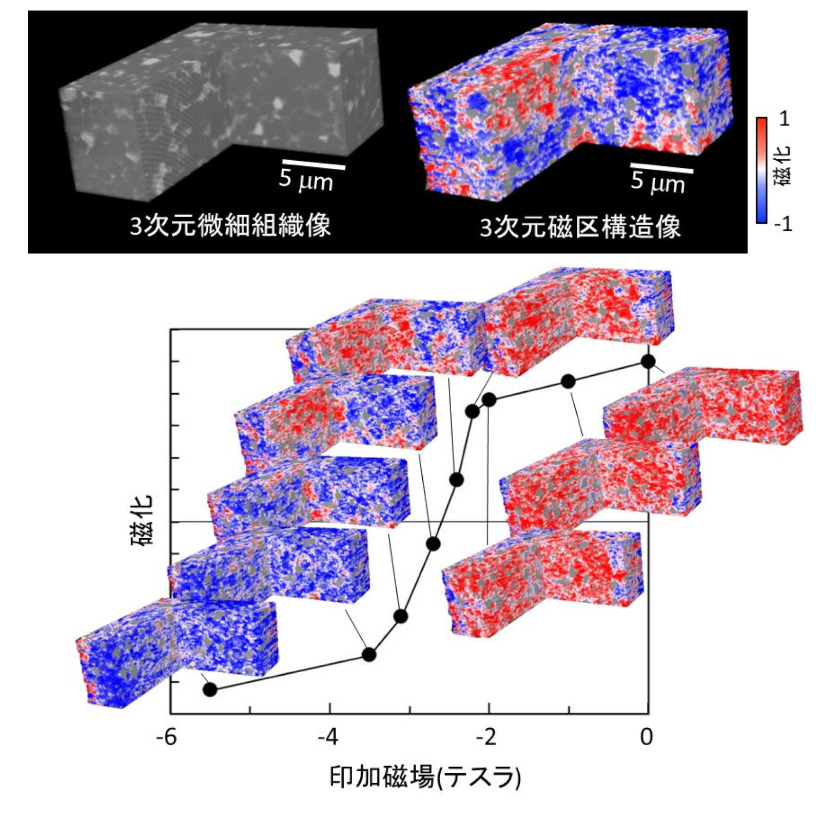 東北大学など、高性能永久磁石開発に向け磁区構造を3D可視化 | 日経クロステック（xTECH）